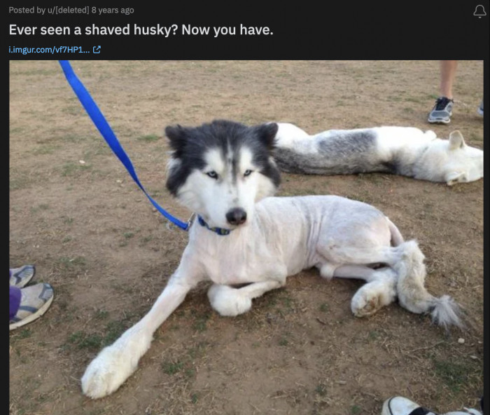 47. We've seen enough of them here.