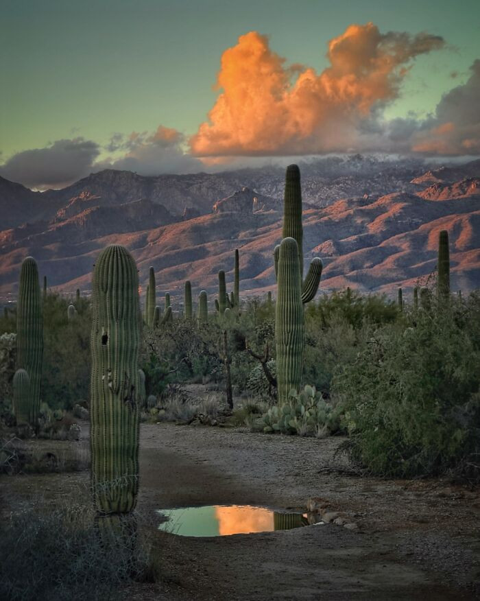 Landscape, 3rd Place, Photo By Joseph Cyr (United States)