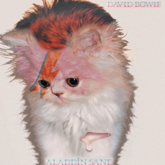 2. Now with a cat: