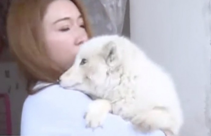 Ms. Wang observed unusual behavior in her pet.