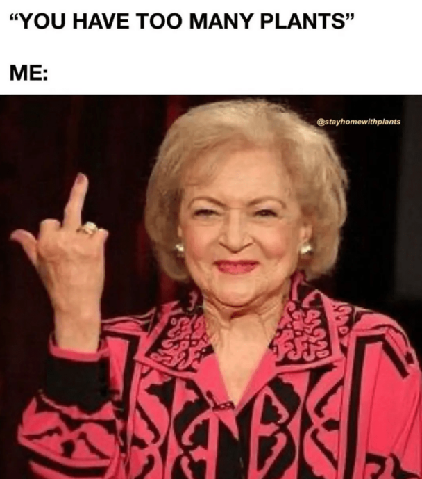 13. There's no such thing.