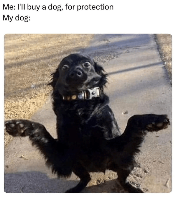 16. I'm all you need