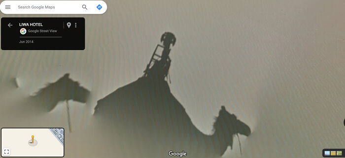 "Google Camel"