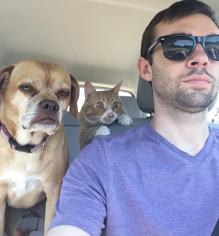 13. "The Anxious Buddy vs. The Zen Companion"