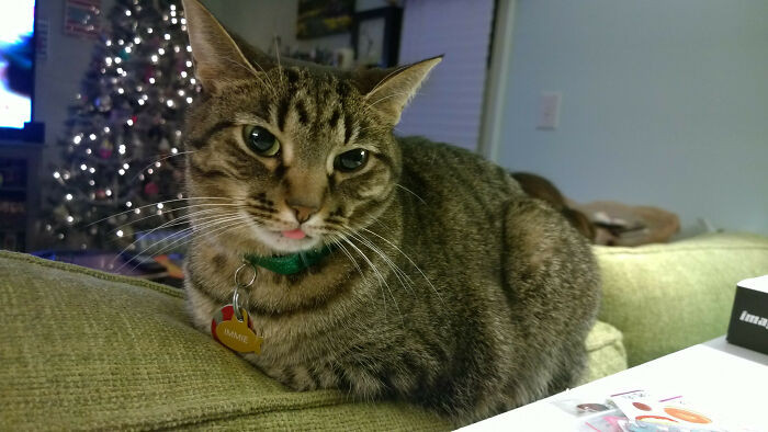50. Immie's Slightly Different Angle Bleploaf