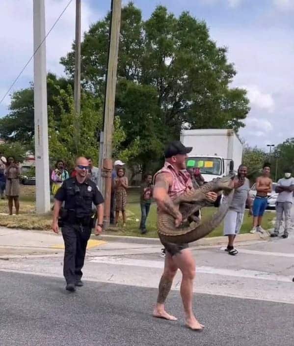 He tamed the alligator with his bare hands!