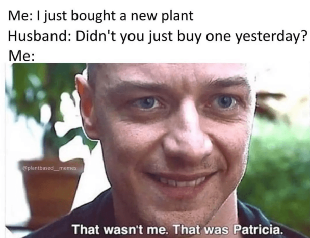 8. It was Patricia, okay?