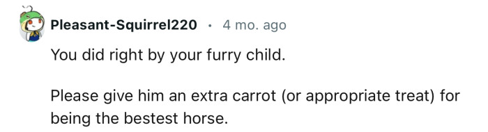 “You Did Right by Your Furry Child.”