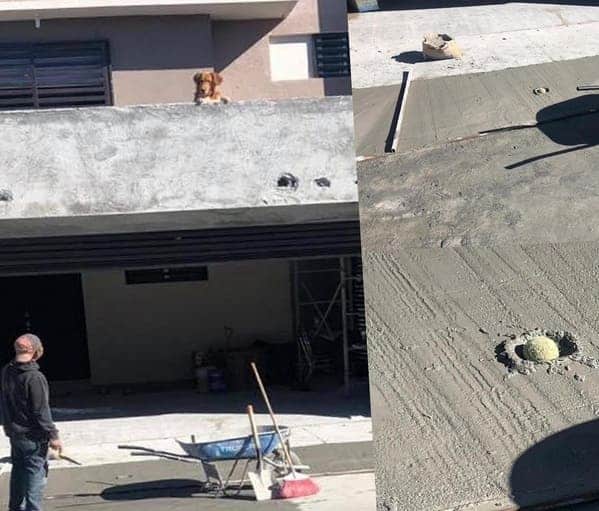 11. “Dude, that’s mine”