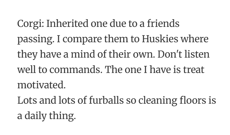 32. “Small body, huge ego, and enough fur to knit a second corgi.”