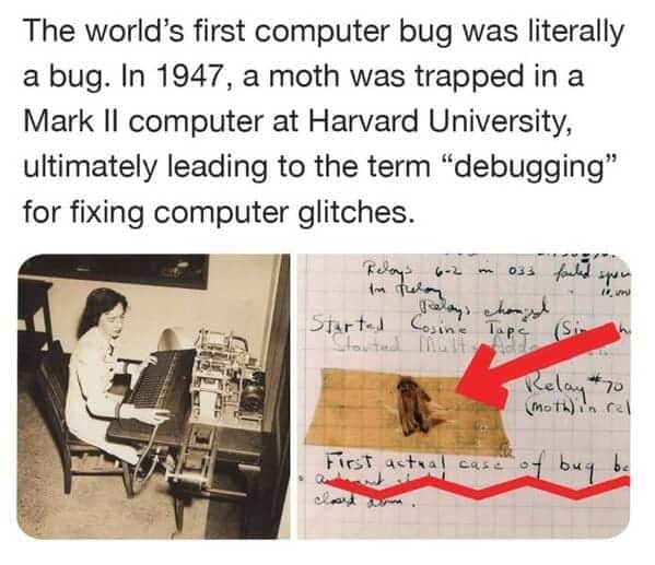 35. That's an interesting fact