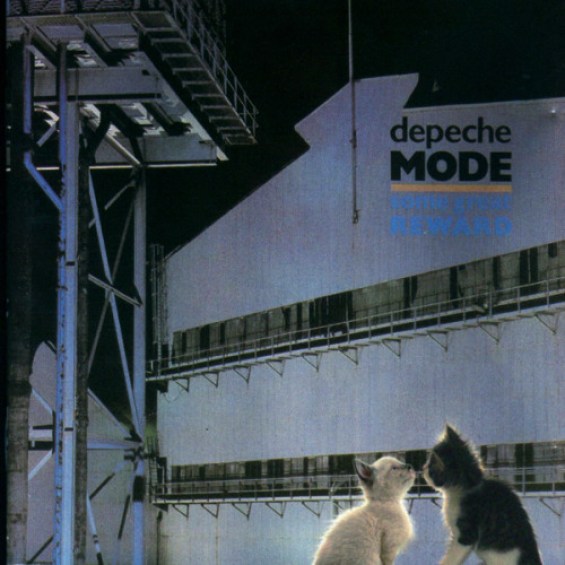 34. Depeche Mode as a cat.