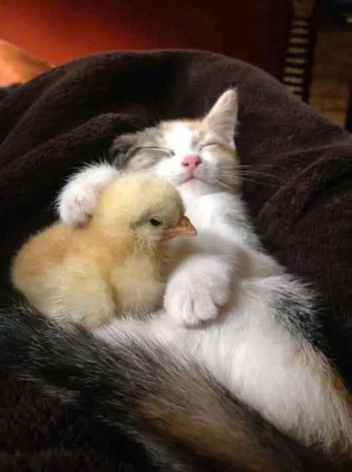 35. I've got a new buddy