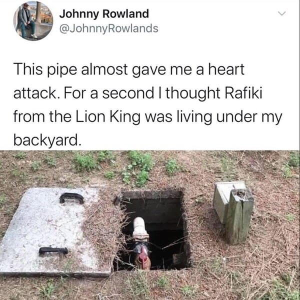 22. He's in hiding before the release of his next album. It's tough to follow a banger like "Circle of Life."