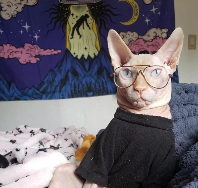 1. "The Naked Professor"