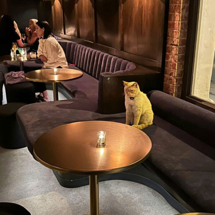 8. My date will soon arrive