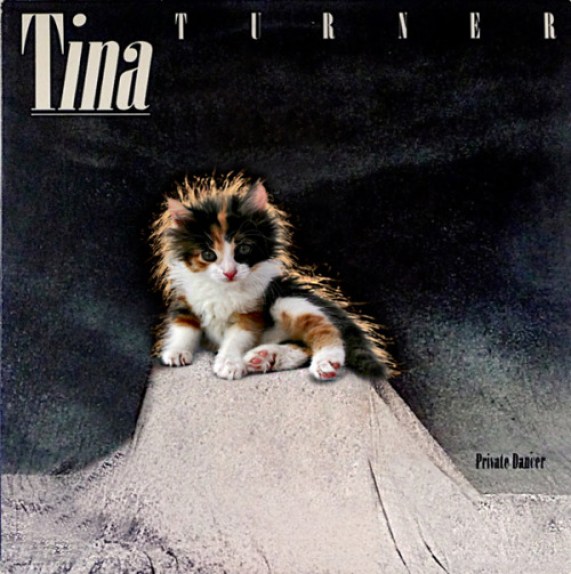 12. Now with a cat: