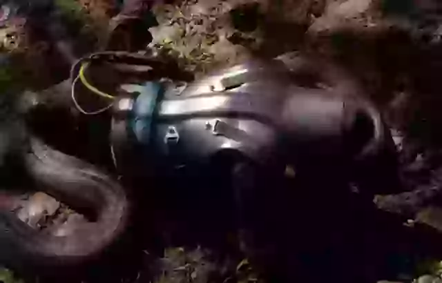 He was forced to call it quits after a snake latched onto his head.