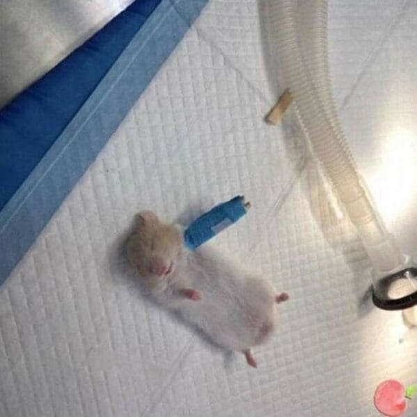 "My strong little guy."