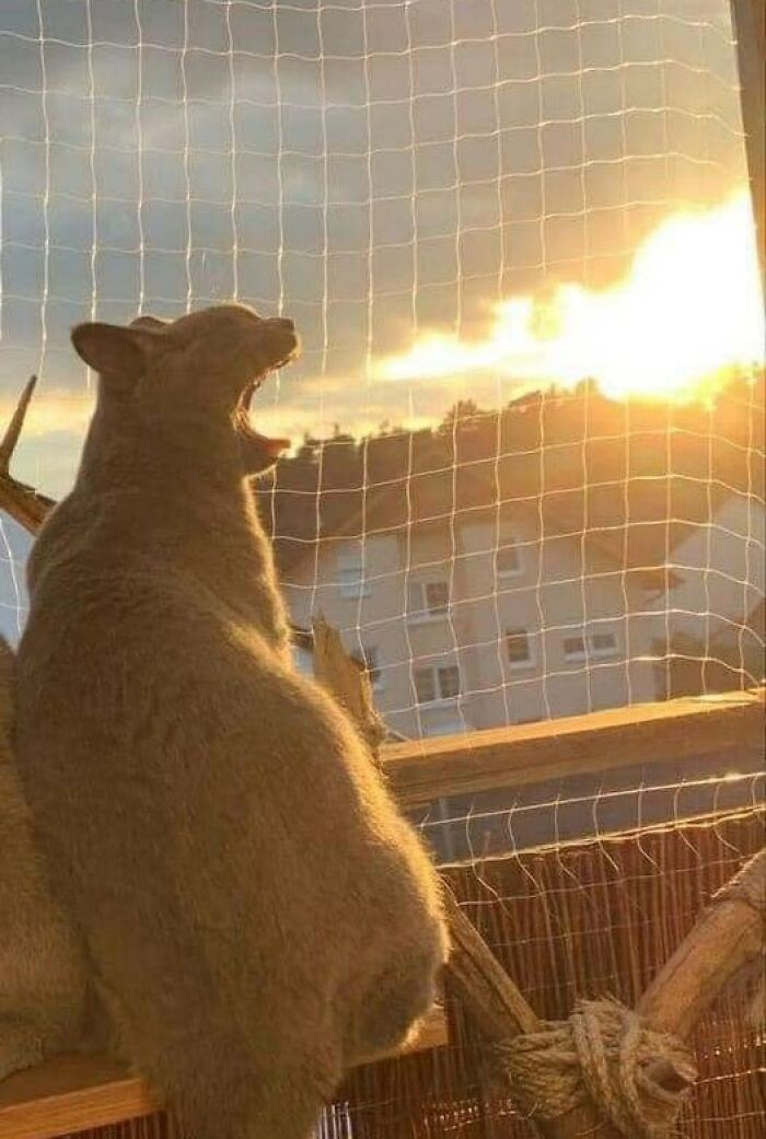 15. I'm a dragon and breathe fireeeeeee