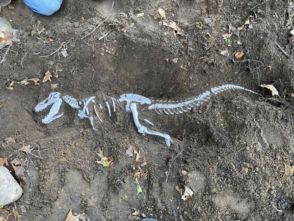 7. āPrinted A 4-Foot T-Rex And Buried It In My Yard For My Nieces To Discover And Excavateā