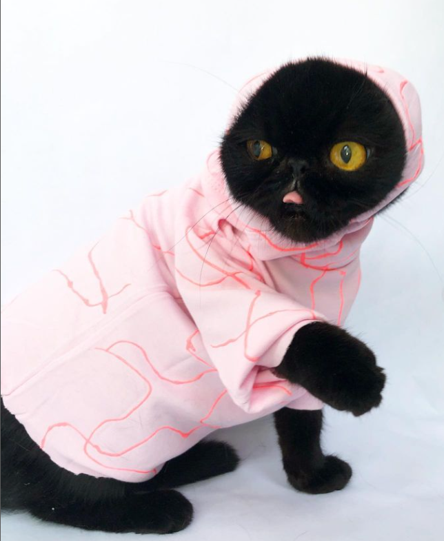 "Do you believe in alien abduction? "