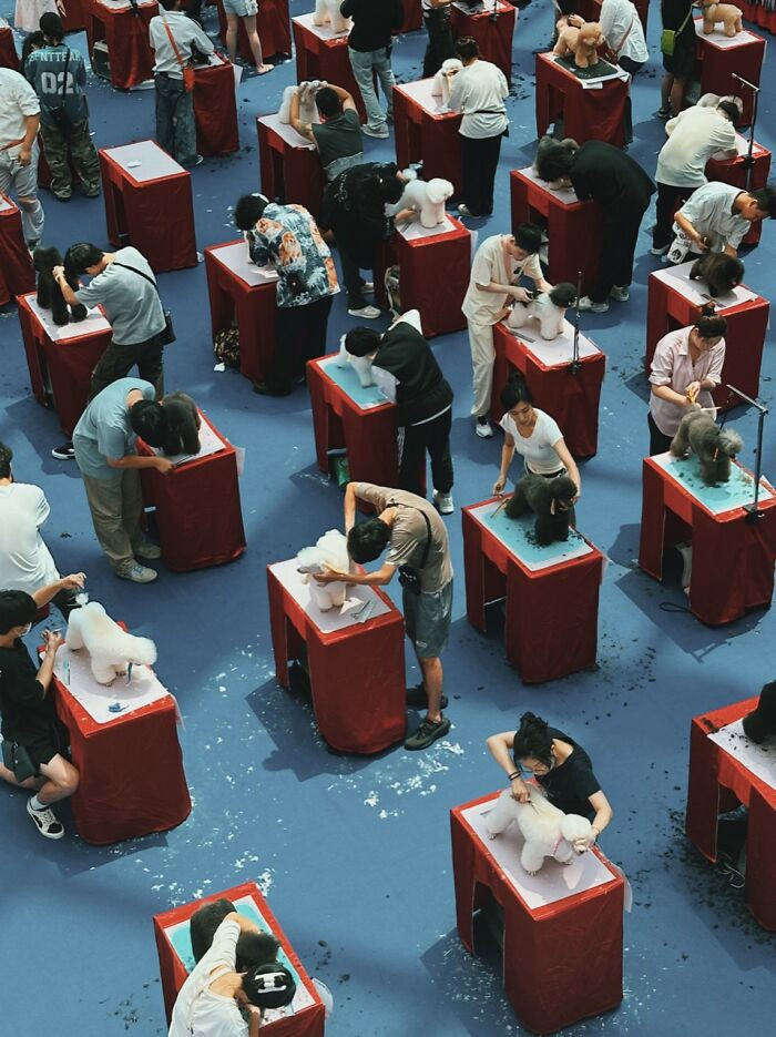 Lifestyle, 3rd Place, Photo By Shuo Chen (China)