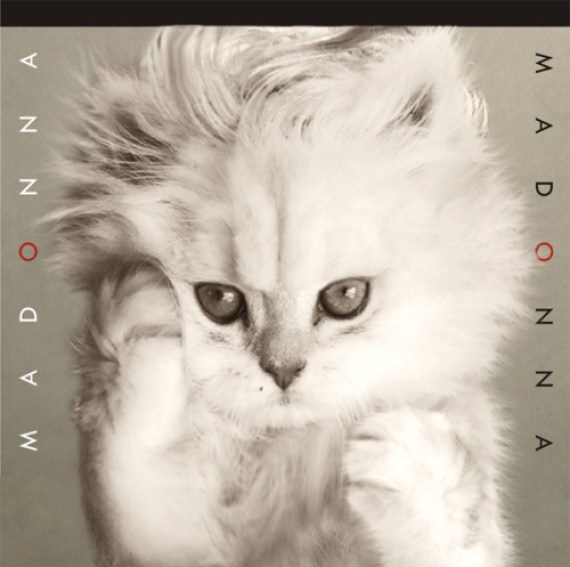 16. Now with a cat: