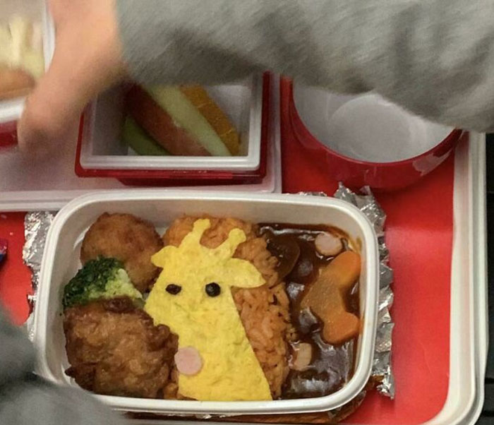 "My Kid’s Lunch On A Japan Airlines Flight Has An Egg Giraffe And Airplane-Shaped Carrots"