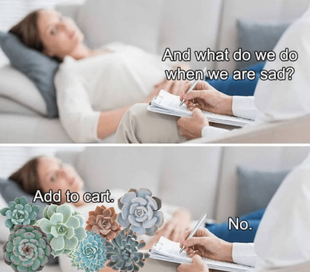 32. That's why it's called plant therapy.