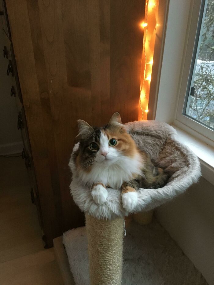 15. Perfecting her princess pose.