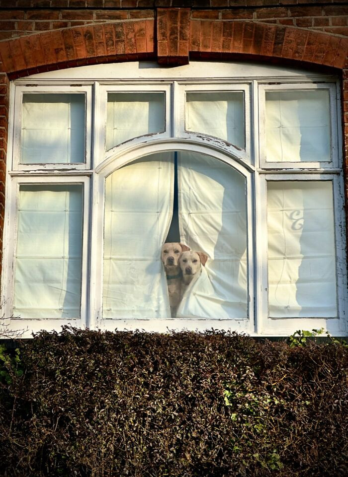 Animals, 1st Place, Photo By Peter Crome (United Kingdom)
