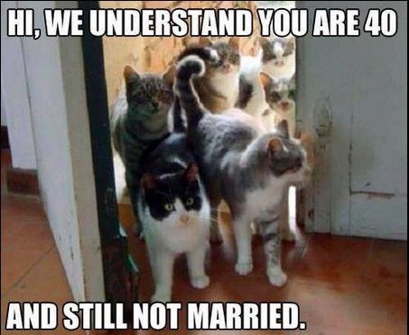It's like these cats already know what to expect when they meet an older lady who is still not married.