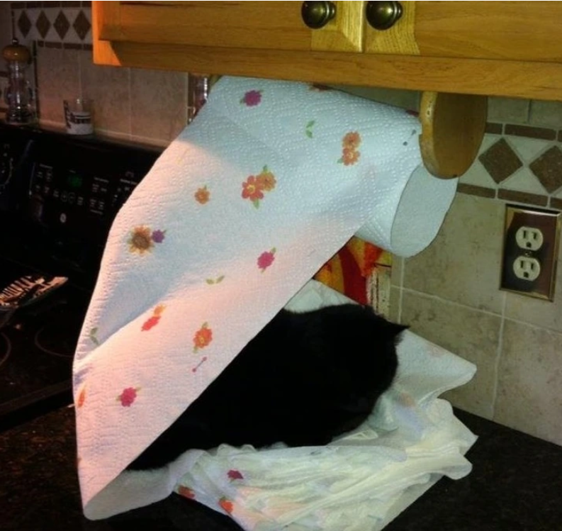 13. "Well, at least someone's comfortable."