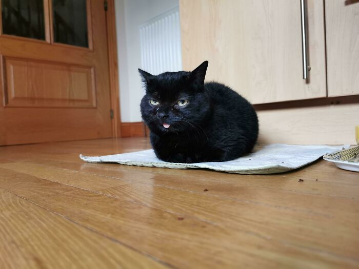 36. He's Angry Cos I Burnt Him
