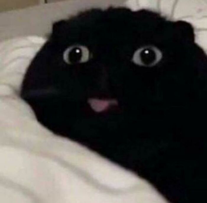 12. Cursed_black_tongue