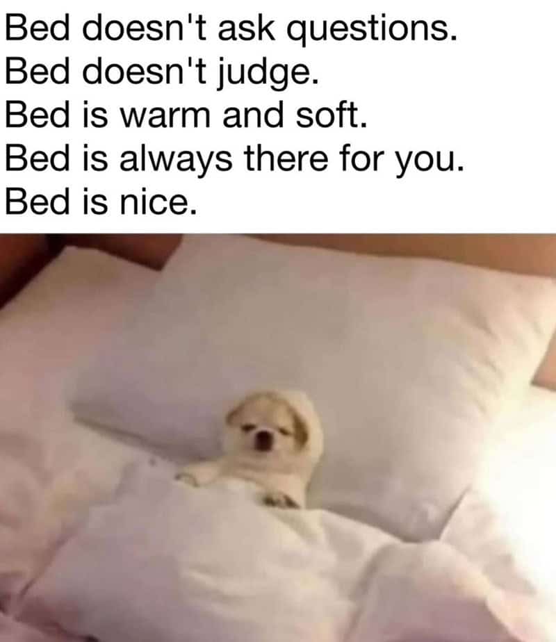 1. The bed is always there for you