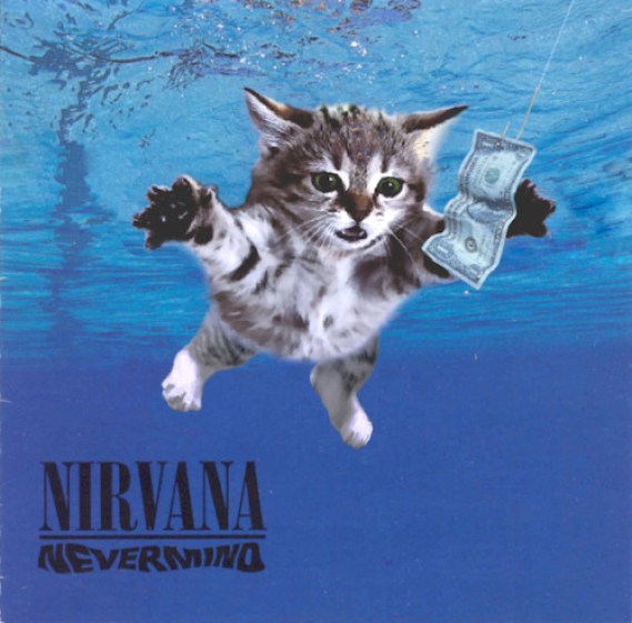 4. Now with a cat: