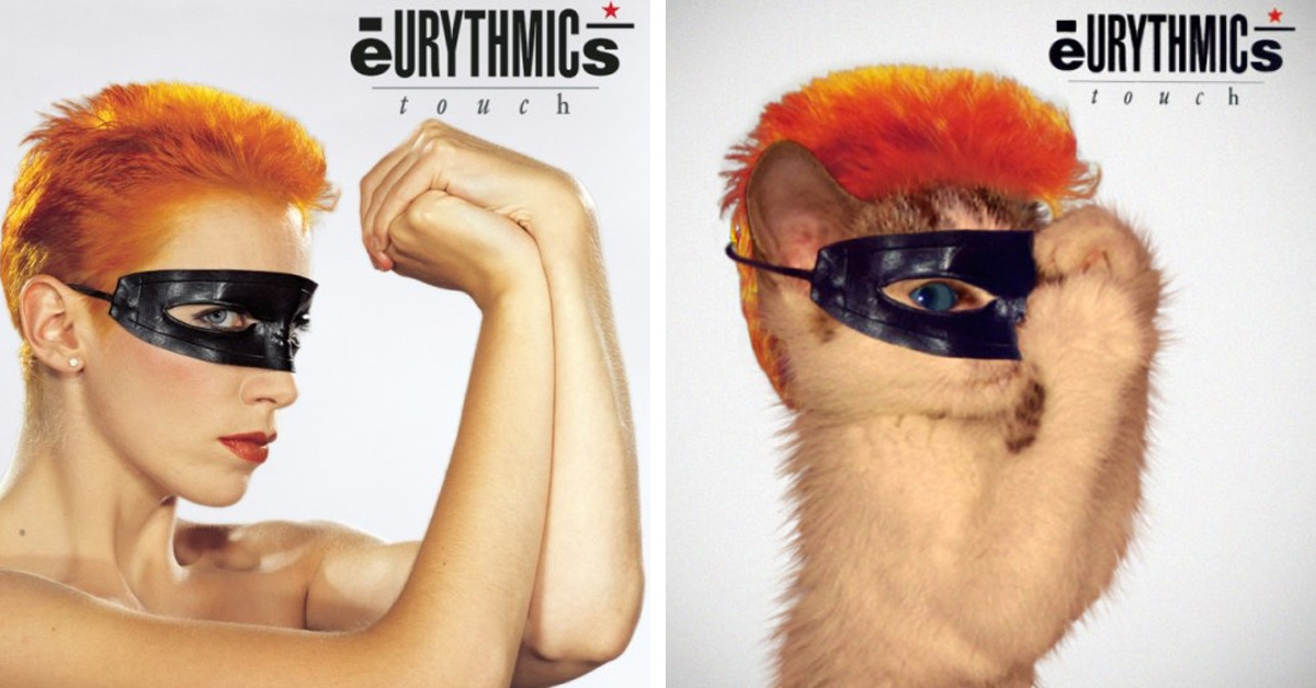 Artist Reimagines Popular Album Covers With Cats, And The Results Are Purrfect