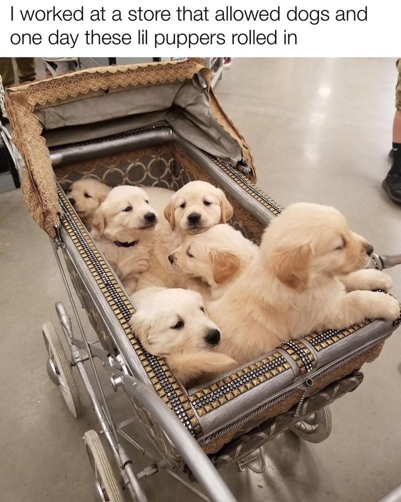 48. We're definitely here to shop