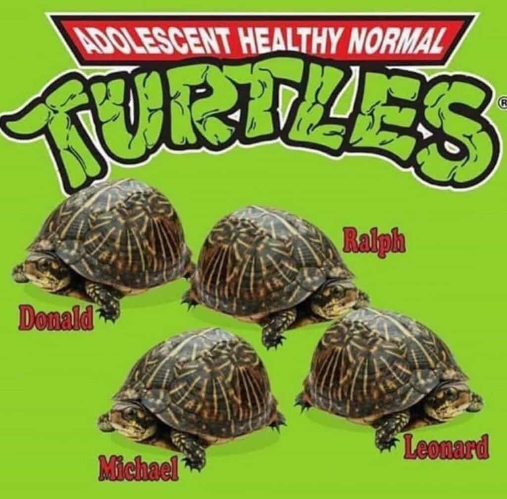 38. They have names, and you can get them