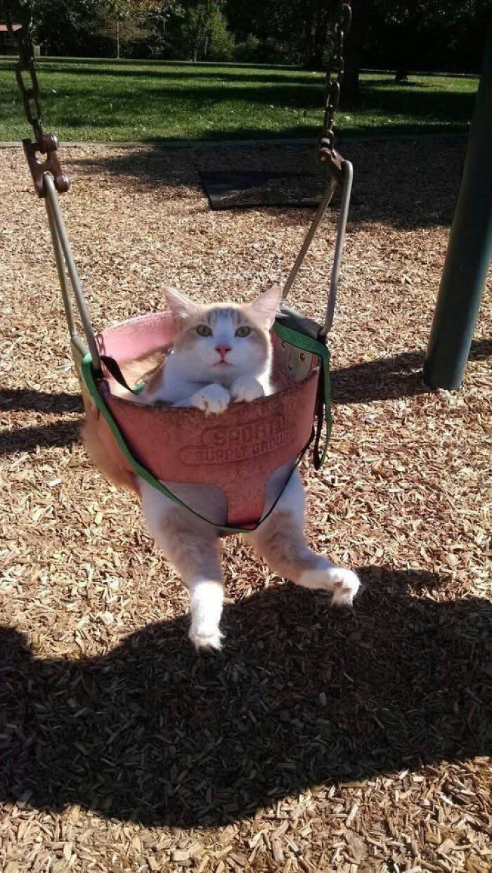 43. Swing me now!