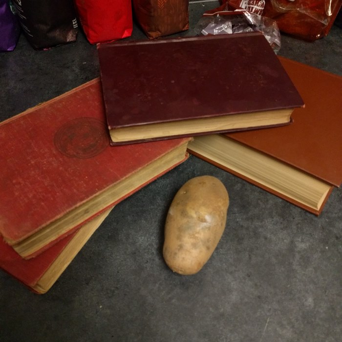 12. Belle From Beauty And The Beast