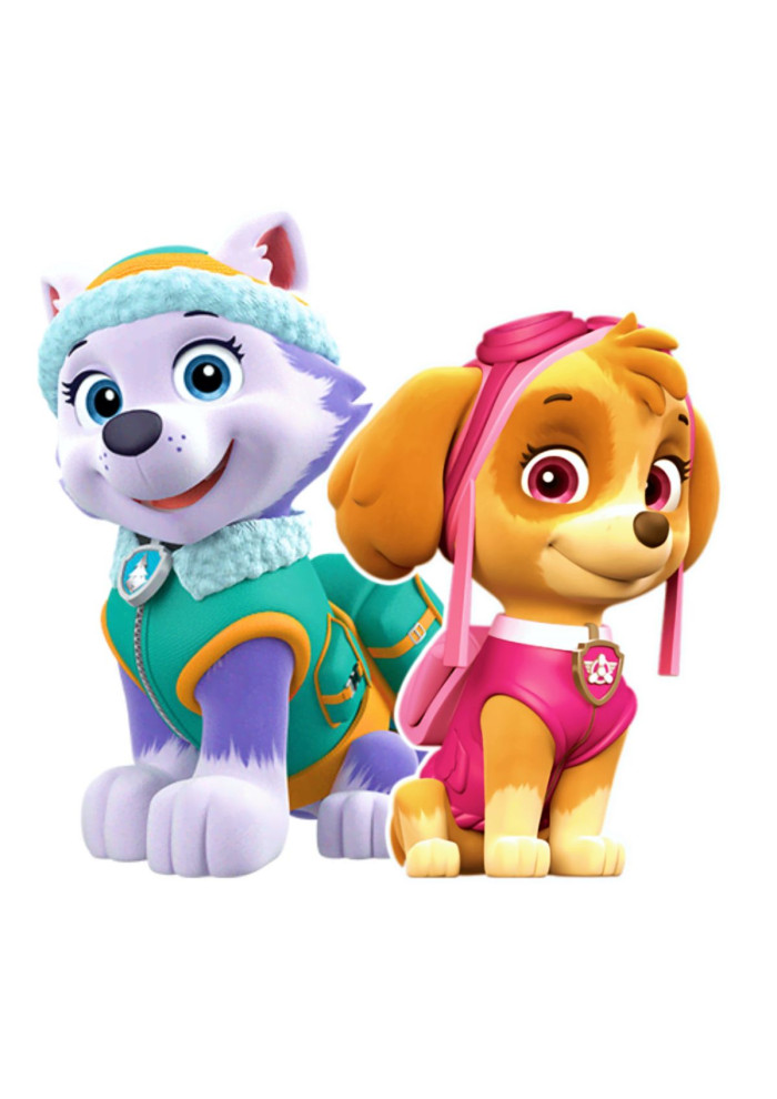 Names Inspired by Skye and Everest