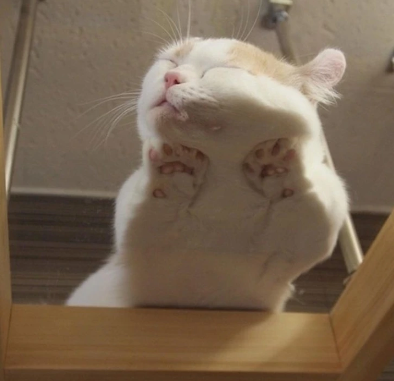 5. "Beneath this exhausted angel, you'll spot the tiniest toe beans."