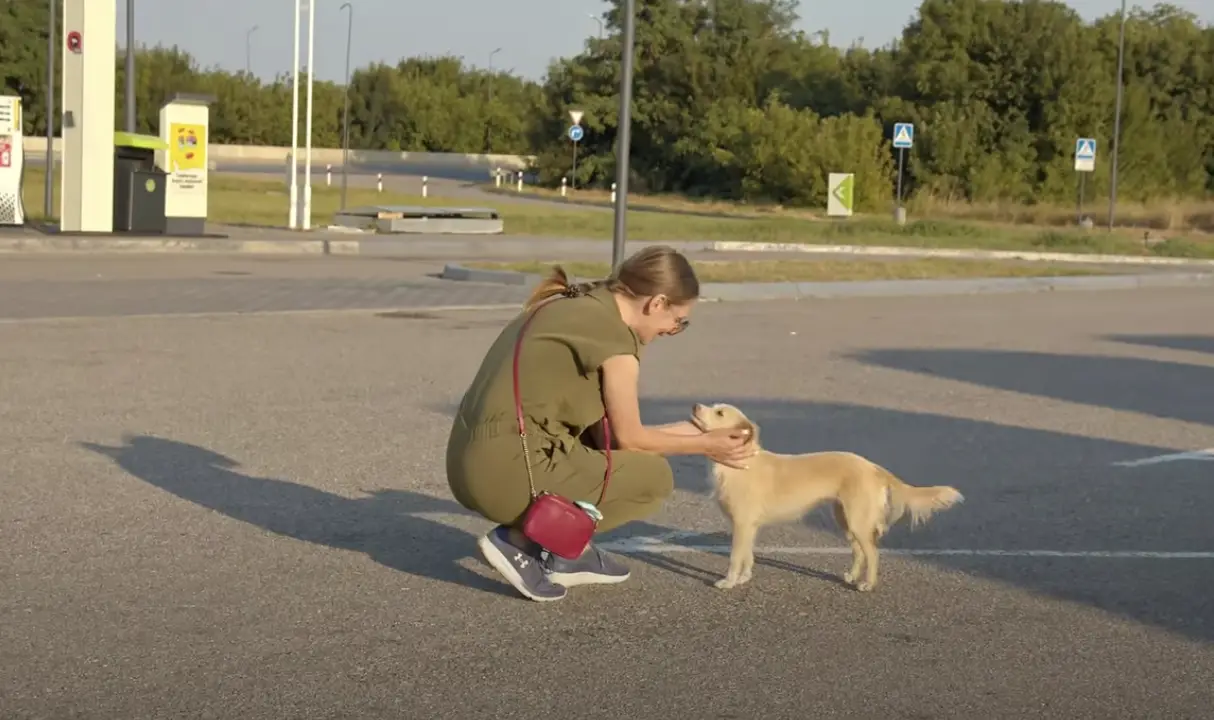 The animal rights advocate, a self-proclaimed "dog person," acted swiftly, rescuing an abandoned puppy without hesitation.