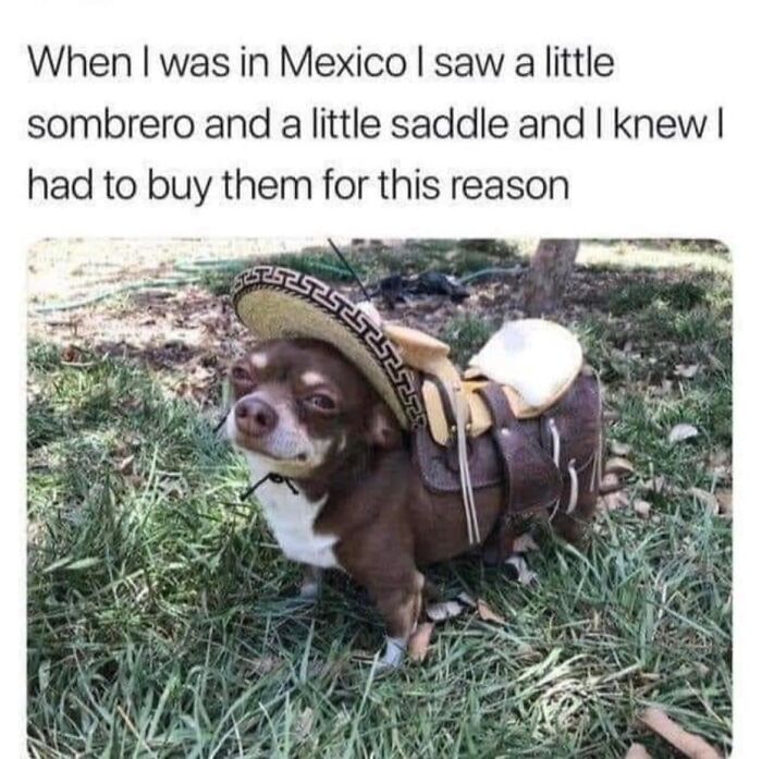 10. And it is a good decision