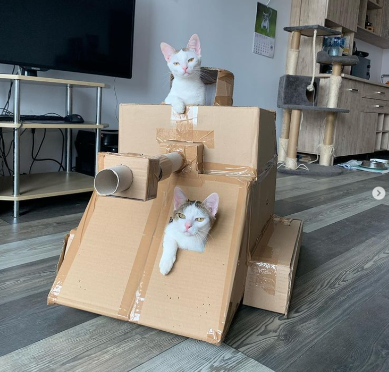 7. "Cat Commandos: Paw-some Adventures in Cardboard Tanks"