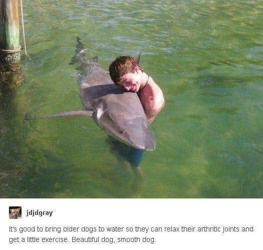 29. When you're lost in an embrace