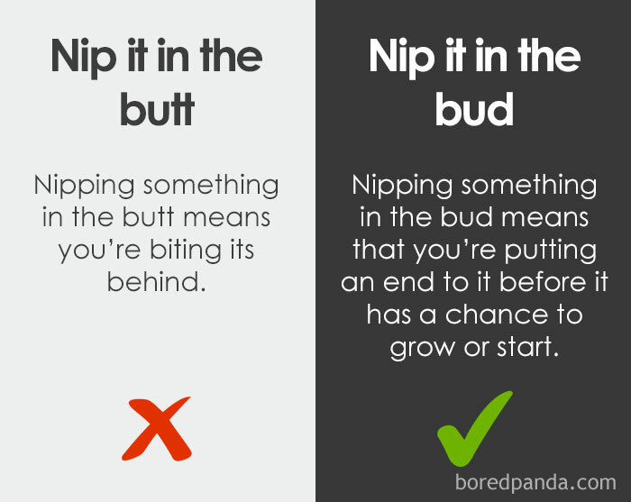 25. Nip it in the bud